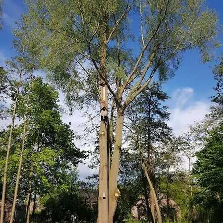 De Zingende Wilg, Heerlijk Met Hottub 別荘 Ewijk