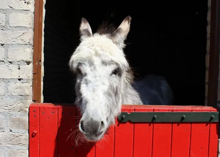 De Zingende Wilg, Heerlijk Met Hottub * Ewijk