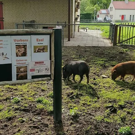 De Zingende Wilg, Heerlijk Met Hottub *