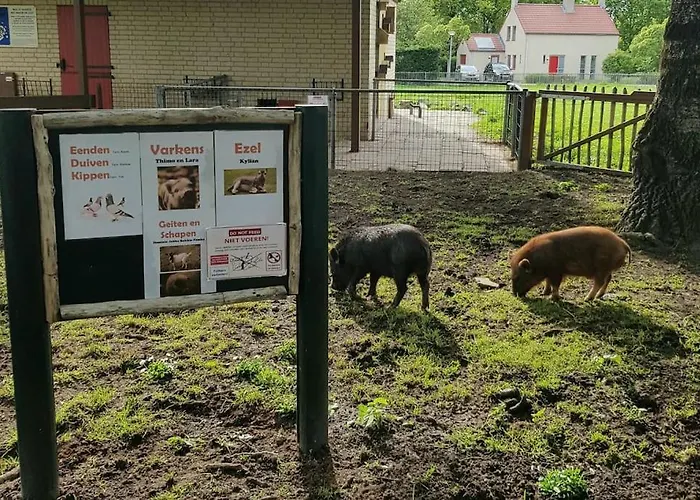 De Zingende Wilg, Heerlijk Met Hottub *